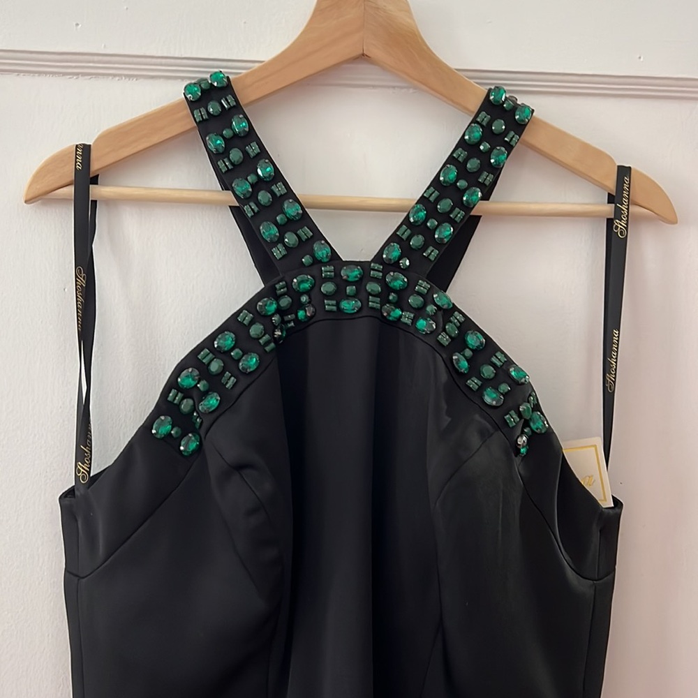 Shoshanna NWT Stunning Dress